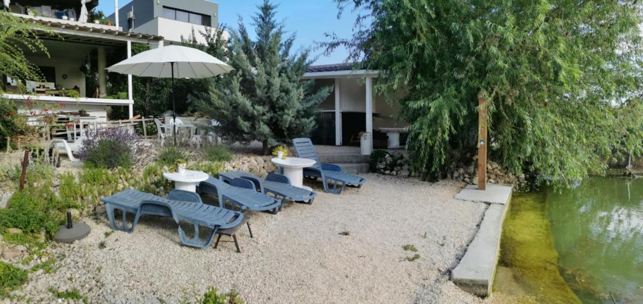Vila Zuzette Hotel Constanta Ngoại thất bức ảnh